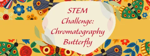 STEM Challenge: Chromatography Butterfly