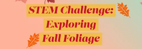 STEM Challenge: Exploring Fall Foliage