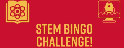 STEM Bingo Challenge